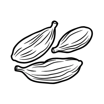 Icoon Kardemom